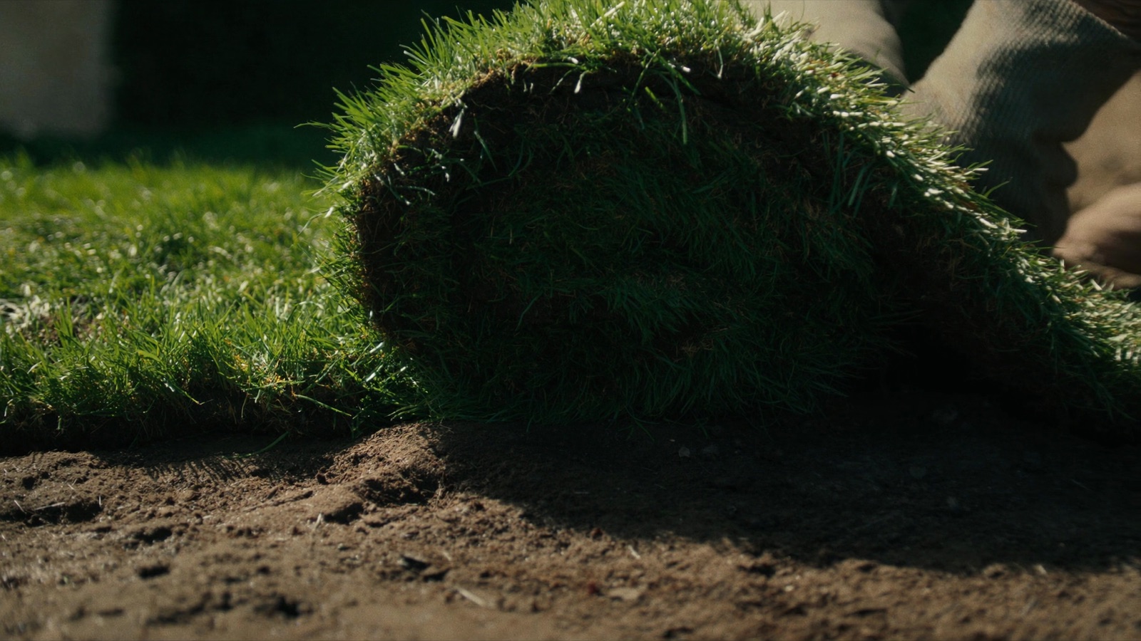 Fresh sod being rolled out onto prepared topsoil at a Halifax landscaping job